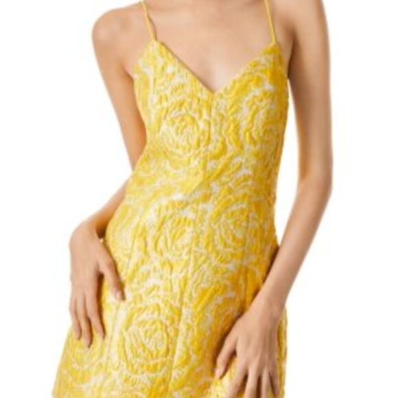 NWOT Alice + Olivia Tayla Structured Cloqué-Jacquard Lantern Mini Dress $450 - Picture 9 of 14